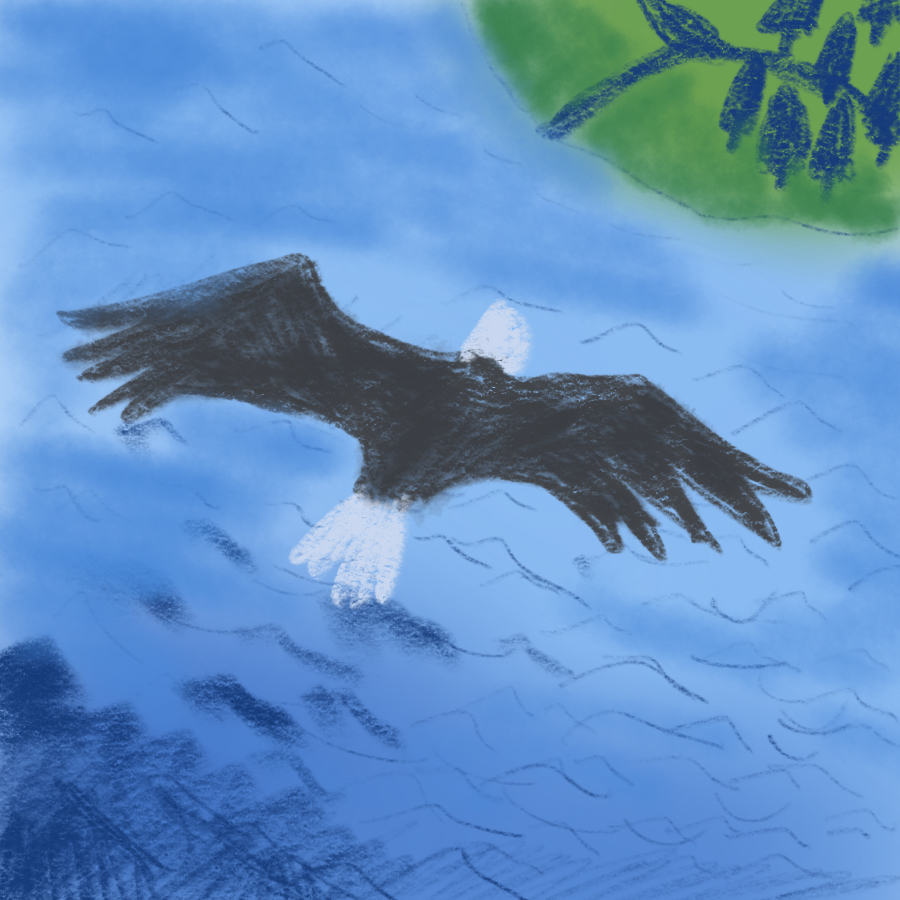 The Eagle Symbolism and Imagery Quiz